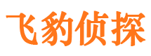 灵武市调查公司